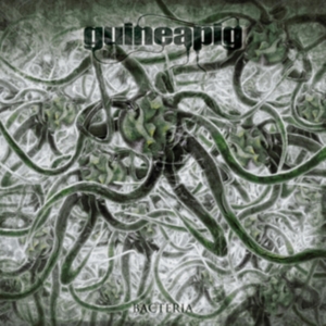 Guineapig - Bacteria ryhmässä VINYYLI @ Bengans Skivbutik AB (3691879)