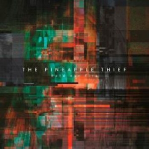 Pineapple Thief - Hold Our Fire ryhmässä CD @ Bengans Skivbutik AB (3694355)