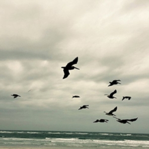 Berger Karl - In A Moment - Music For Piano And S ryhmässä CD @ Bengans Skivbutik AB (3694566)