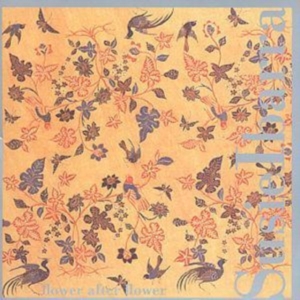 Ibarra Susie - Flower After Flower ryhmässä CD @ Bengans Skivbutik AB (3694642)