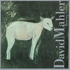 Mahler David - Hearing Voices ryhmässä CD @ Bengans Skivbutik AB (3694649)