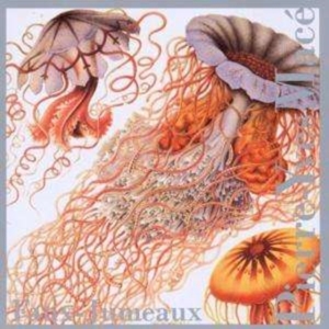 Mace Pierre-Yves - Faux-Jumeaux ryhmässä CD @ Bengans Skivbutik AB (3694662)