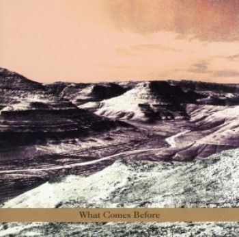 Goldberg / Schott / Sarin Trio - What Comes Before ryhmässä CD / Jazz/Blues @ Bengans Skivbutik AB (3694703)