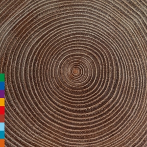 Ali Khan Amjad - Moksha ryhmässä CD @ Bengans Skivbutik AB (3701150)