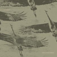Ulf Lundell - Tranorna Kommer ryhmässä CD @ Bengans Skivbutik AB (3702222)