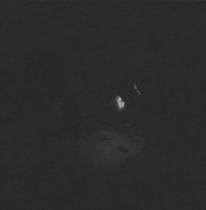 Paysage D'hiver - Nacht (2 Lp) ryhmässä VINYYLI @ Bengans Skivbutik AB (3702637)