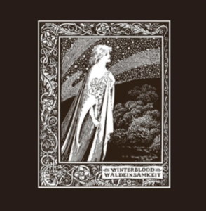 Winterblood - Waldeinsamkeit (2 Lp) ryhmässä VINYYLI @ Bengans Skivbutik AB (3702639)