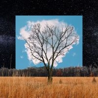 Fink - Bloom Innocent ryhmässä CD @ Bengans Skivbutik AB (3704385)