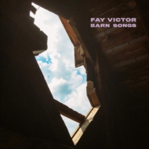 Victor Fay - Darn Songs ryhmässä CD @ Bengans Skivbutik AB (3704817)