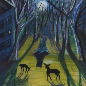 Quinn Donovan - Absalom ryhmässä VINYYLI @ Bengans Skivbutik AB (3716994)