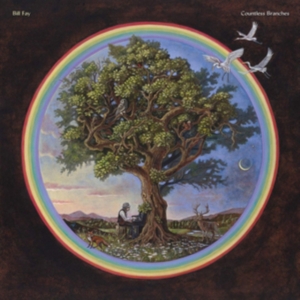 Bill Fay - Countless Branches (Deluxe Version) ryhmässä CD @ Bengans Skivbutik AB (3722088)
