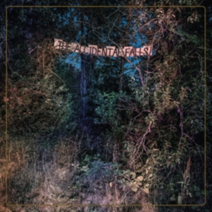 Eyelids - Accidental Falls ryhmässä VINYYLI @ Bengans Skivbutik AB (3723564)