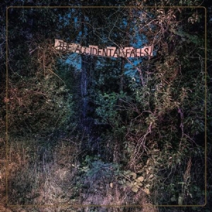 Eyelids - Accidental Falls ryhmässä CD @ Bengans Skivbutik AB (3723827)