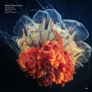 Silent Fires - Forests ryhmässä CD @ Bengans Skivbutik AB (3727042)