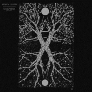 Larein Shaam - Sculpture ryhmässä CD @ Bengans Skivbutik AB (3727115)