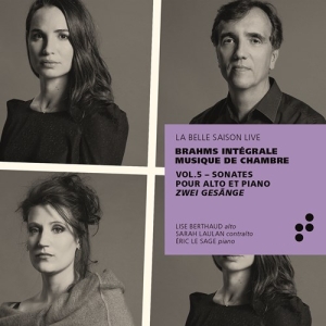 Brahms Johannes - Integrale Musique De Chambre - Sona ryhmässä CD @ Bengans Skivbutik AB (3728693)