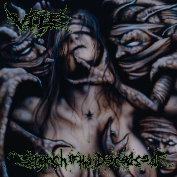Vile - Stench Of The Deceased ryhmässä VINYYLI / Myydyimmät @ Bengans Skivbutik AB (3728935)