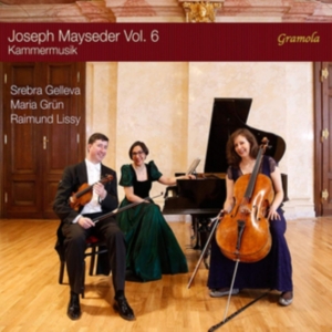 Mayseder Joseph - Joseph Mayseder, Vol. 6 - Kammermus ryhmässä CD @ Bengans Skivbutik AB (3729148)