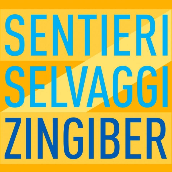 Various - Zingiber ryhmässä CD @ Bengans Skivbutik AB (3729253)