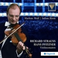 Strauss/Pfitzner - Violinsonaten ryhmässä CD @ Bengans Skivbutik AB (3731549)