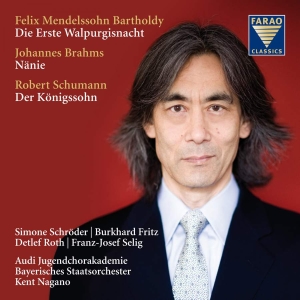 Mendelssohn Bartholdy/Brahms/Schuma - Mendelssohn Bartholdy/Brahms ryhmässä CD @ Bengans Skivbutik AB (3731554)