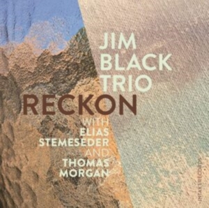 Jim Black Trio - Reckon ryhmässä CD @ Bengans Skivbutik AB (3733841)