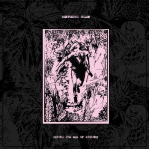 Raspberry Bulbs - Before The Age Of Mirrors Lp ryhmässä VINYYLI @ Bengans Skivbutik AB (3734345)