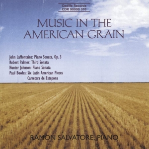 Various - Music In The American Grain ryhmässä CD @ Bengans Skivbutik AB (3734589)