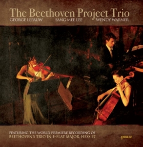 Beethoven Ludwig Van - The Beethoven Project Trio ryhmässä CD @ Bengans Skivbutik AB (3734724)