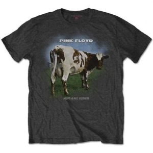   ryhmässä Minishops / Pink Floyd @ Bengans Skivbutik AB (3739622r)