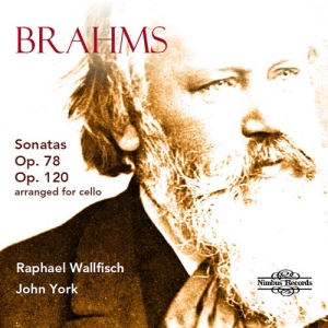 Brahms Johannes - Sonatas, Opp. 78 & 120 (Arranged Fo ryhmässä CD / Klassiskt @ Bengans Skivbutik AB (3743338)