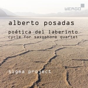 Posadas Alberto - Poetica Del Laberinto - Cycle For S ryhmässä CD @ Bengans Skivbutik AB (3743362)