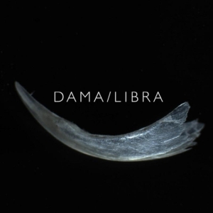Dama/Libra - Claw ryhmässä VINYYLI @ Bengans Skivbutik AB (3744330)