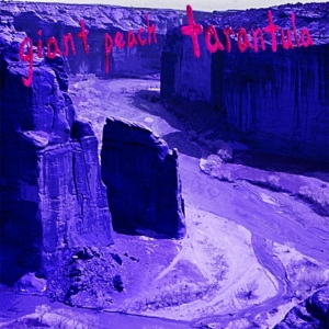 Giant Peach - Tarantula ryhmässä VINYYLI @ Bengans Skivbutik AB (3744345)