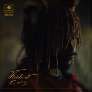 THUNDERCAT - IT IS WHAT IT IS (RED VINYL) ryhmässä ME SUOSITTELEMME / Årsbästalistor 2020 / Uncut 2020 @ Bengans Skivbutik AB (3746603)