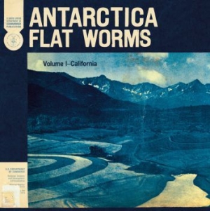 Flat Worms - Antarctica ryhmässä CD @ Bengans Skivbutik AB (3747697)