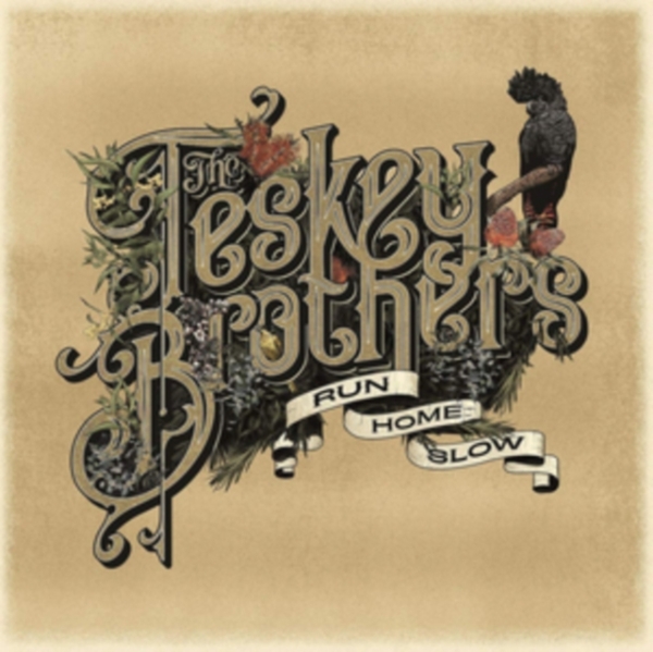 Teskey Brothers - Run Home Slow ryhmässä CD / Myydyimmät @ Bengans Skivbutik AB (3756007)