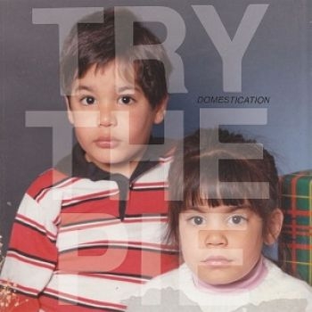 Try The Pie - Domestication ryhmässä VINYYLI / Rock @ Bengans Skivbutik AB (3763699)