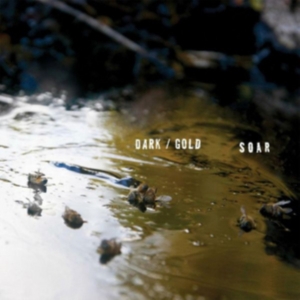 Soar - Dark / Gold ryhmässä VINYYLI @ Bengans Skivbutik AB (3763717)
