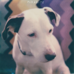Fleabite - Nvm ryhmässä VINYYLI @ Bengans Skivbutik AB (3763742)