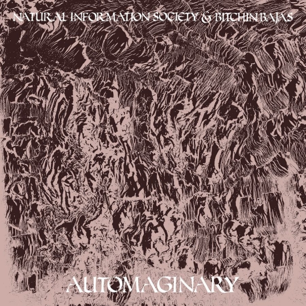 Bitchin Bajas & Natural Information - Automaginary ryhmässä VINYYLI / Myydyimmät @ Bengans Skivbutik AB (3763842)