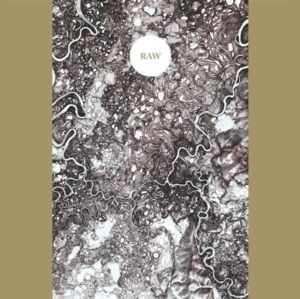 Synapse - Raw ryhmässä CD @ Bengans Skivbutik AB (3764323)