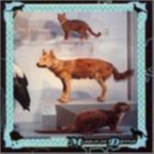 Cohen Danny - Museum Of Dannys ryhmässä CD @ Bengans Skivbutik AB (3764415)