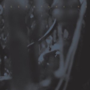 Zeena Parkins - Double Dupe Down ryhmässä CD @ Bengans Skivbutik AB (3764440)