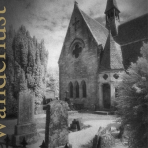 High Duchess - Wanderlust ryhmässä CD @ Bengans Skivbutik AB (3764578)