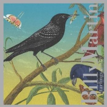 Martin Billy - Starlings ryhmässä CD / Jazz/Blues @ Bengans Skivbutik AB (3764616)