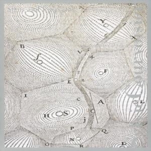 Sylvie Courvoisier - Signs And Epigrams ryhmässä CD @ Bengans Skivbutik AB (3764623)