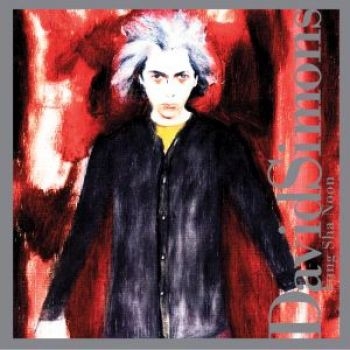 Simons David - Fung Sha Noon ryhmässä CD / Pop @ Bengans Skivbutik AB (3764654)