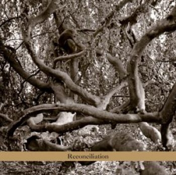 Daphna Sadeh And The Voyagers - Reconciliation ryhmässä CD / Myydyimmät @ Bengans Skivbutik AB (3764713)