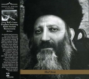 Greg Wall's Later Prophets Featurin - Lights Of Rav Kook ryhmässä CD @ Bengans Skivbutik AB (3764716)